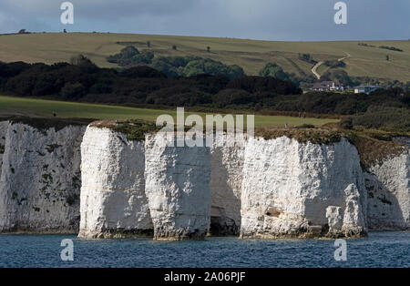 Studland, Dorset, England, UK. September 2019. Weiße Kreidefelsen der Insel Purbeck vom Meer gesehen. Ballard und der SW-Küste Stockfoto