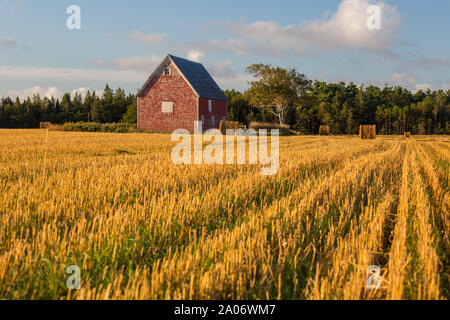 Alte Scheune in einem Feld von gemähtem Heu. Stockfoto