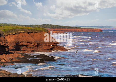 Sandsteinfelsen entlang dem North Shore von Prince Edward Island, Kanada in der PEI National Park. Stockfoto