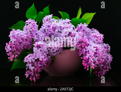 Blumenstrauß aus lila Blumen lila Vase auf einem schwarzen Hintergrund Stockfoto