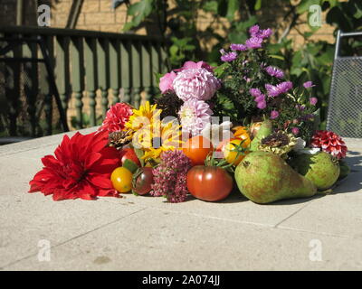 Ein Stilleben, Table-top Anzeige der Herbst von einem Englischen Garten: Obst, Gemüse und Blumen; September 2019 Stockfoto