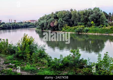Bild des Flusses mit Weiden auf beiden Banken in der Stadt Arad, Rumänien Stockfoto