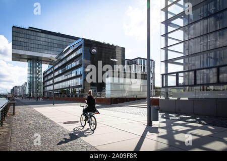 Kranhaus Süd und das Bürogebäude der Bank im Rheinauer Hafen, Radfahrer, Köln, Deutschland. Kranhaus Süd und das Buerogebaeude der Sitzbank Stockfoto