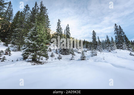 Alpine Bergkulisse im Österreichischen Berge mit schneebedeckten Bäumen und weißen Schneeverwehungen. Winterlandschaft an einem sonnigen Tag im Dezember Stockfoto