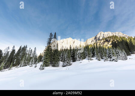 Winterlandschaft in den österreichischen Alpen mit sauberen weißen Schnee und verschneiten Wald. Schneebedeckte Bäume und Rocky Mountains unter einem blauen Himmel Stockfoto