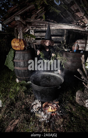 Alte Hexe brauen tödlichen Trank für Halloween in einen gusseisernen Topf Stockfoto