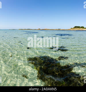 Ein quadratisches Format Ozean Küste und Strand Landschaft mit klarem Wasser und Algen und Seetang unter einem blauen Himmel Stockfoto