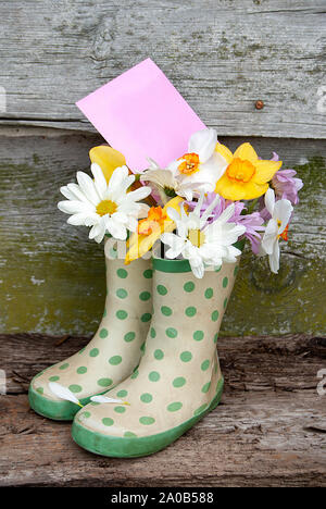 Daisy und Narzisse Blumenstrauß mit leeren rosa Umschlag in grün Polka Dot Stiefel auf rustikalem Holz Stockfoto