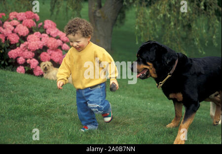 Kleinkind in Garten mit Rottweiler Hund Stockfoto