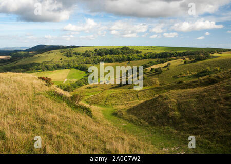 Die South Downs in der Nähe von Kithurst Hügel über Storrington auf einem August Nachmittag, West Sussex, Großbritannien Stockfoto