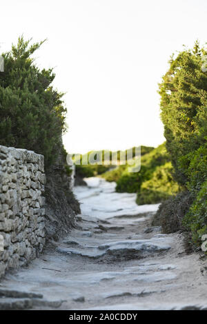 (Selektive Fokus) einen atemberaubenden Blick auf die Stone Mountain Trail, der durch eine reiche und grüne Vegetation. Bonifacio, Korsika, Frankreich. Stockfoto