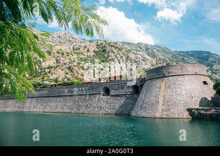 Alte Festung von Kotor, kampana Turm und Mauer in Kotor, Montenegro Stockfoto