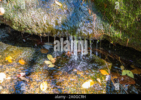 Wasser in einem kleinen Bach fällt über den Rand eines erhöhten Felsen in separaten Spalten. Stockfoto
