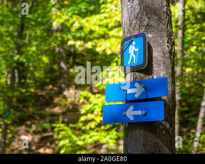 Ein Wanderweg Markierung zeigt eine Gabel in der Fußweg. Pfeile auf den blauen Schildern sowohl links und rechts in den Wald, wo Sie an einen Baum genagelt werden. Stockfoto
