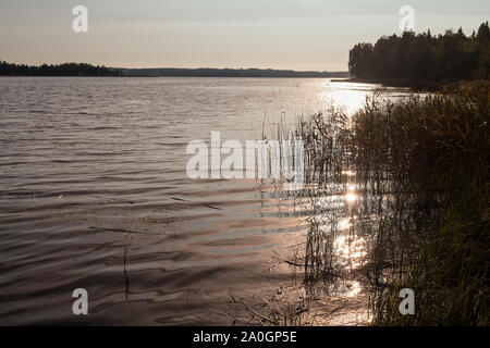 Die aufgehende Sonne spiegelt wunderschön am See Wasser an der ländlichen Finnland. Die frühen Herbst morgen sind schön durch die Seen. Stockfoto