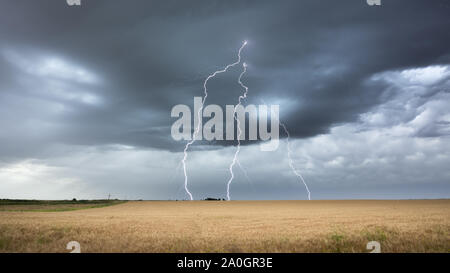 Dramatische Sturm und Thunderbolt in einem Feld von Weizen. La Pampa Argentinien Stockfoto