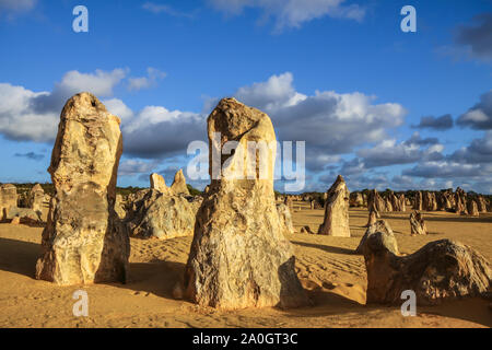 Bizarre Felsformationen der Pinnacles am späten Nachmittag Licht, Nambung Nationalpark, Western Australia Stockfoto