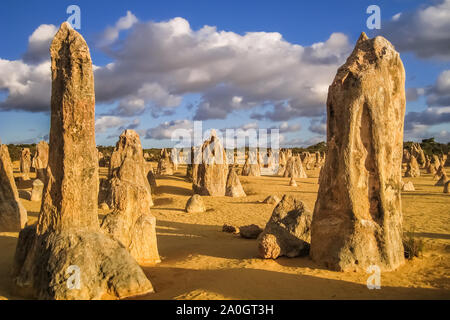 Bizarre Felsformationen der Pinnacles am späten Nachmittag Licht, Nambung Nationalpark, Western Australia Stockfoto