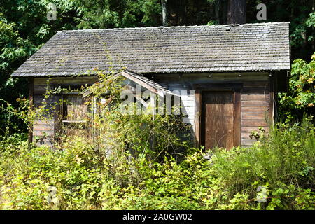 Die Überreste einer Sommerhütte auf South Pender Island, British Columbia, Kanada Stockfoto