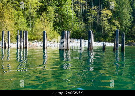 Überreste eines alten Docks am Alouette Lake, Maple Ridge, British Columbia, Kanada Stockfoto