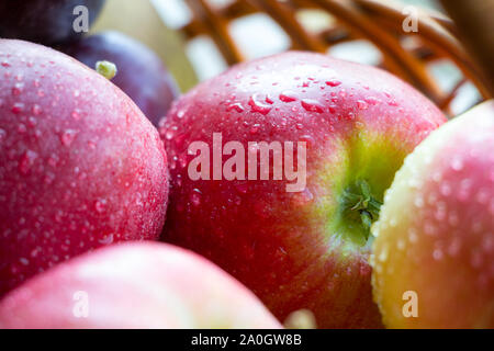 Rote Äpfel in einem Weidenkorb mit Wassertropfen auf sie reif. Close-up. Stockfoto