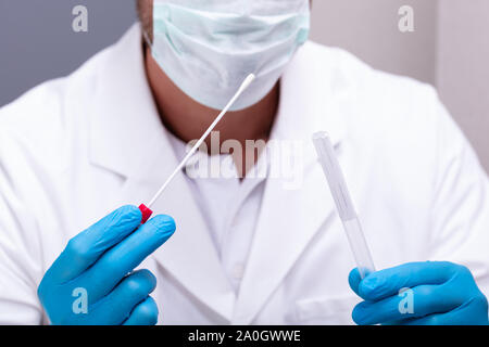 Männlicher Arzt trägt blaue Handschuhe Holding Wattestäbchen und DNA Test Tube Stockfoto