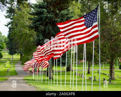 Flaggen, die auf einer schönen Reihe auf einem Friedhof waiving Stockfoto