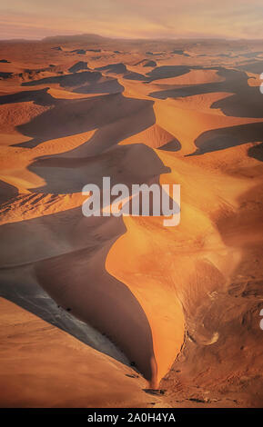 Luftaufnahme von schönen Sanddünen im goldenen Licht mit dramatischen Formen, Linien, Kurven und Schatten, in der Wüste Namib, Namibia. Bild vertikal. Stockfoto