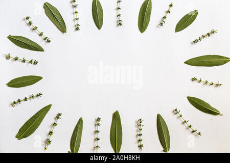 Verschiedene frische Kräuter aus dem Garten Rosmarin, Salbei und Thymian mit zentralen Kopie Raum lag auf weißem Hintergrund/ Stockfoto