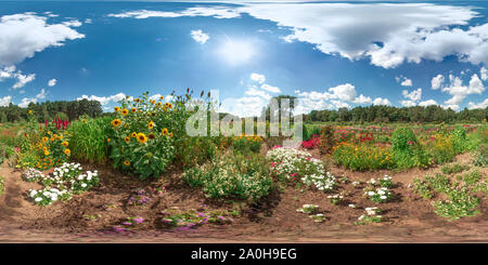 360 Grad Panorama Ansicht von Schöne Landschaft mit blauen Himmel bunte Blumen weiße Wolken Sonne Gras Sommer 3D-Sphärisches Panorama mit 360 Grad Betrachtungswinkel Bereit für virtua