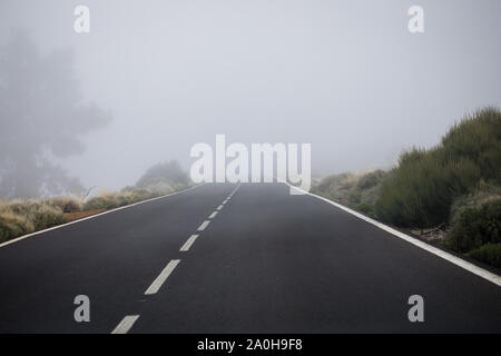 Nebel. Der Blick aus dem Auto. Blick vom Fahrer Winkel Stockfoto