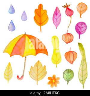 Der Vektor aquarell Herbst Design Elemente. Blüten und Blätter auf einem weißen Hintergrund. Hand botanische Illustrationen gezeichnet Stock Vektor