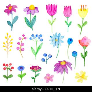 Der Vektor aquarell Blumen und Blätter auf einem weißen Hintergrund. Hand gezeichnet botanischen Herbst design elemente Stock Vektor