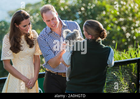 Herzog und Herzogin von Cambridge besuchen Taronga Zoo, Sydney, Australien. Katharina, Herzogin von Cambridge und Prinz William, Herzog von Cambridge treffen auf einen Koal Stockfoto