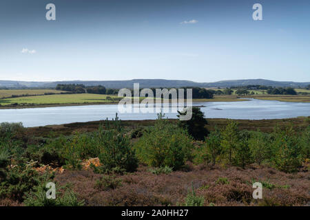 Eine Ansicht von Coombe Heide über Middlebere Kanal in den Purbecks, ein toller Ort zum Ort Zugvögel, Dartford Grasmücken und Fischadler. Stockfoto