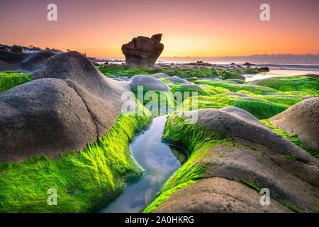 Seltsame Steine Moos und Algen begrüßt Dawn schönen neuen Tag Stockfoto