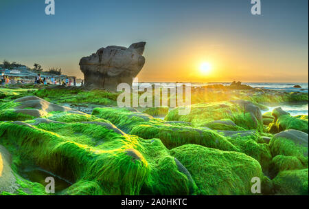 Seltsame Steine Moos und Algen begrüßt Dawn schönen neuen Tag Stockfoto