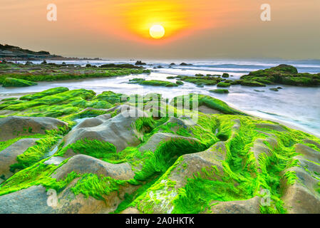 Seltsame Steine Moos und Algen begrüßt Dawn schönen neuen Tag Stockfoto