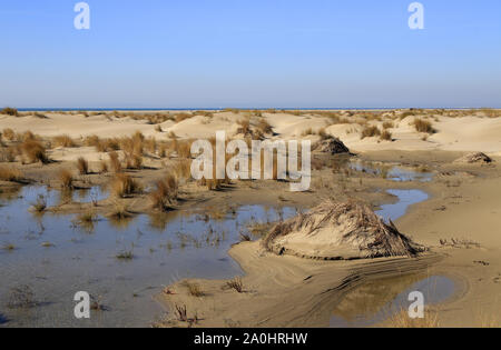 Strand von Espiguette im Languedoc Roussillon, Gard, Petite Camargue, Frankreich Stockfoto