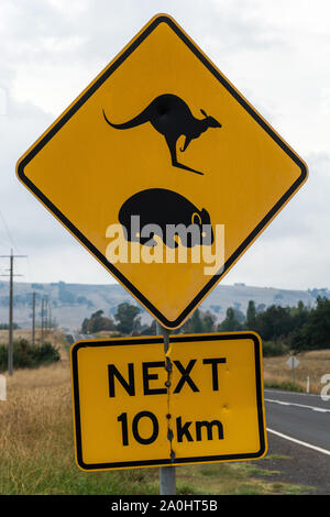 "Kangaroo und Wombat Kreuzung. 10 km" Schild in Australien. Stockfoto