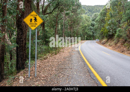 Motor Straße in Mt Buller Bezirk von Victorian High Country in Australien mit 'Achtung. Gnome Kreuzung" Schild. Stockfoto