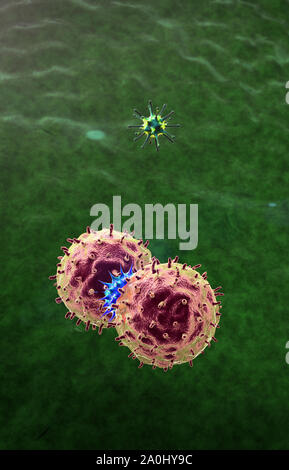 Makrophage tötet Viren, gerenderten 3d-Makrophagen und Virus, im menschlichen Körper, Medizinische video Hintergrund, Viren im menschlichen Körper Stockfoto