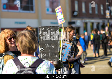 Truro, Cornwall, England. 20. September, 2019. Lustige Plakate in einer Massendemonstration vom Aussterben Rebellion in Truro Stadtzentrum verwendet; die Demonstration ist Teil der koordinierten weltweiten Demonstrationen anspruchsvolle Aktion über den Klimawandel. Gordon Scammell/Alamy leben Nachrichten Stockfoto