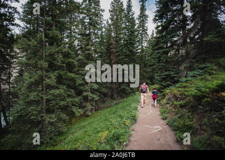 Vater und Sohn halten sich an den Händen, als sie auf einem Pfad in den Wald wandern. Stockfoto