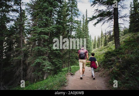 Vater und Sohn halten sich an den Händen, als sie auf einem Pfad in den Wald wandern. Stockfoto