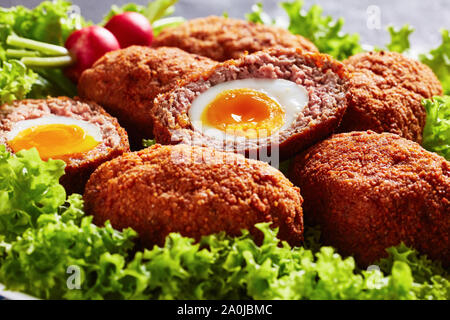 Scotch Eier, weich gekochte Eier mit flüssig Eigelb in Hackfleisch Wurst verpackt, serviert mit Salat und Radieschen auf einem Teller, horizontale Ansicht von oben Stockfoto