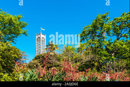 Der Glockenturm der Christ Church Kathedrale, eine anglikanische Kirche, Nelson, Neuseeland. Kopieren Sie Platz für Text Stockfoto