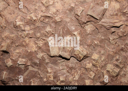 Halit Pseudomorphosen, Weber Tal, Cheshire Keuper Mergel, Mercia Mudstone Gruppe, Trias Stockfoto