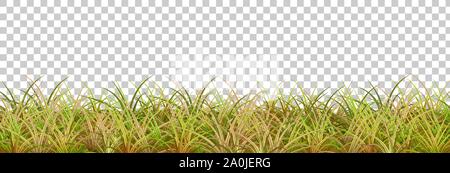 Herbst gras Grenze auf transparentem Hintergrund. Vector Illustration Stock Vektor