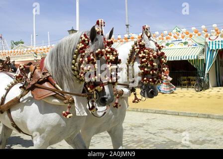 Pferde und Kutschen an der Feria de Abril in Sevilla, Spanien Stockfoto